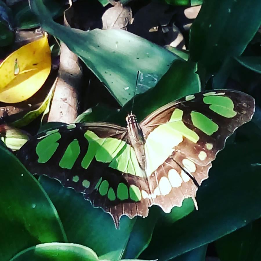 Posada Maria Iguazu Puerto Iguazu Luaran gambar