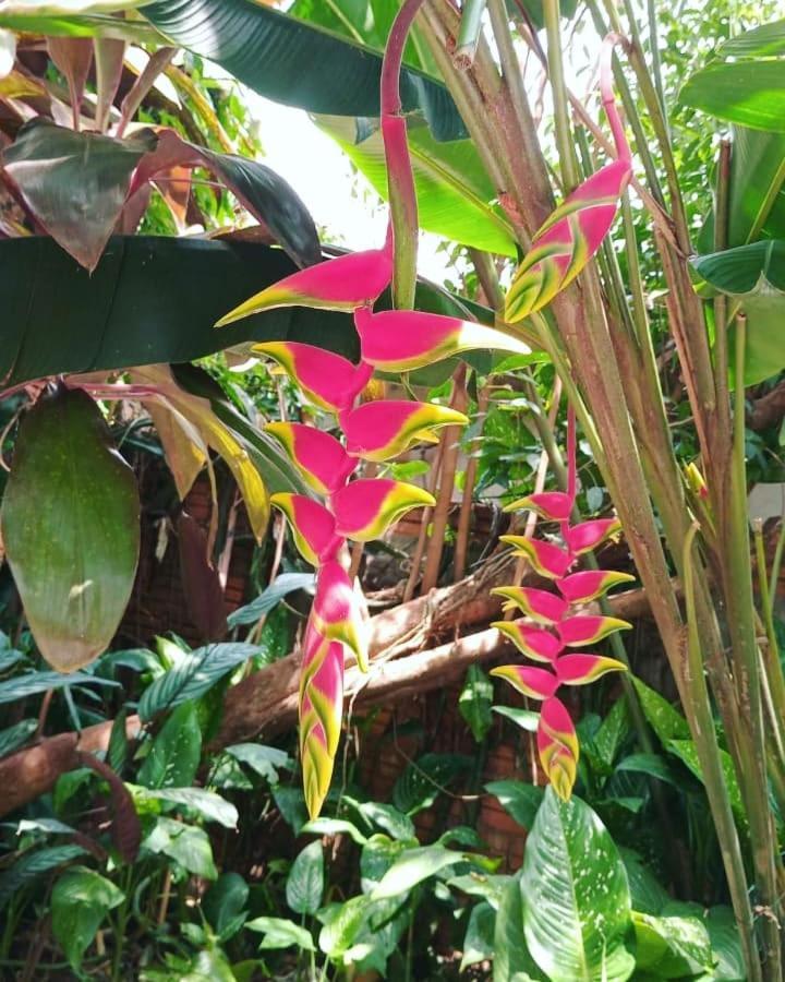 Posada Maria Iguazu Puerto Iguazu Luaran gambar