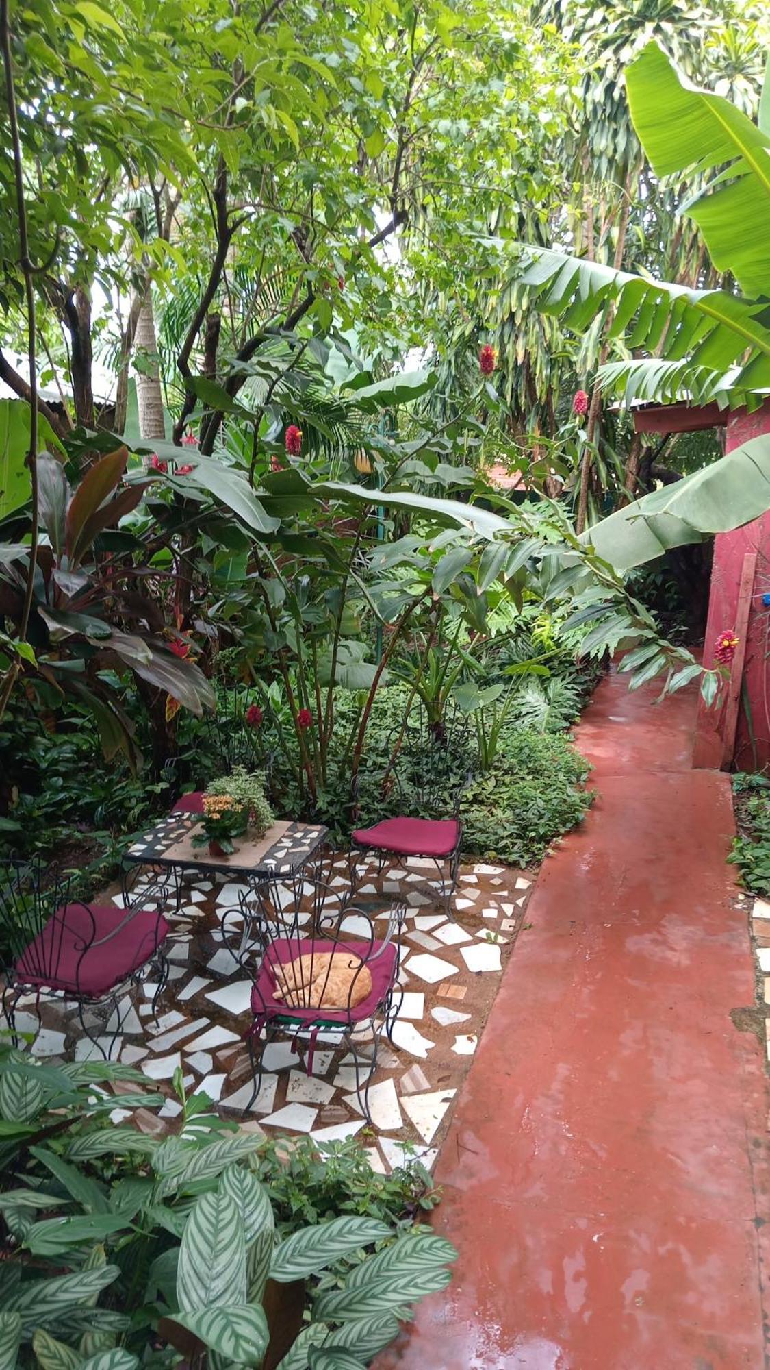 Posada Maria Iguazu Puerto Iguazu Luaran gambar