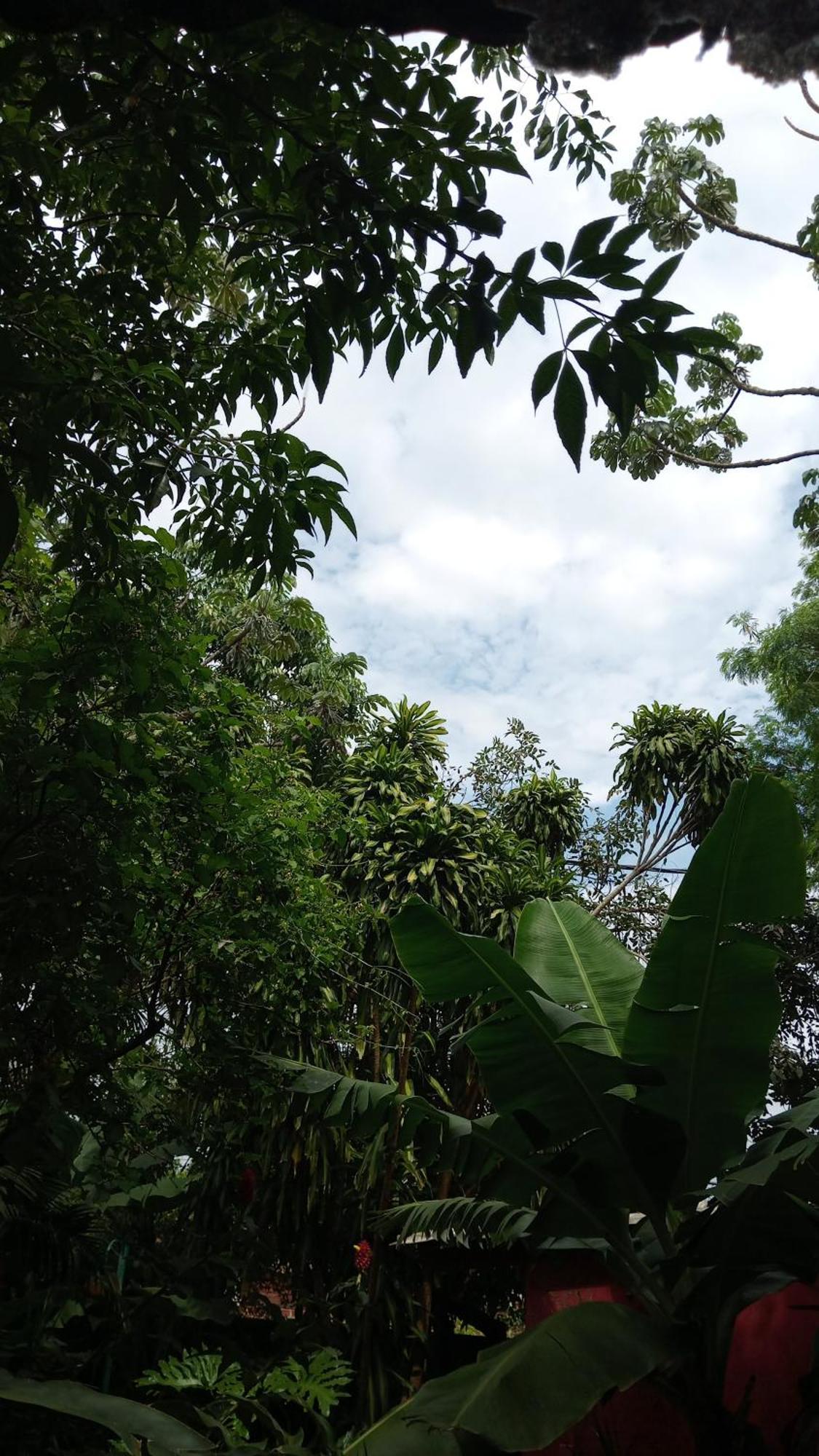 Posada Maria Iguazu Puerto Iguazu Luaran gambar