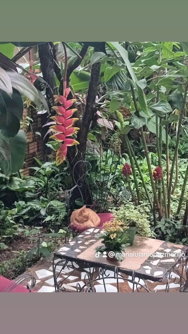 Posada Maria Iguazu Puerto Iguazu Luaran gambar