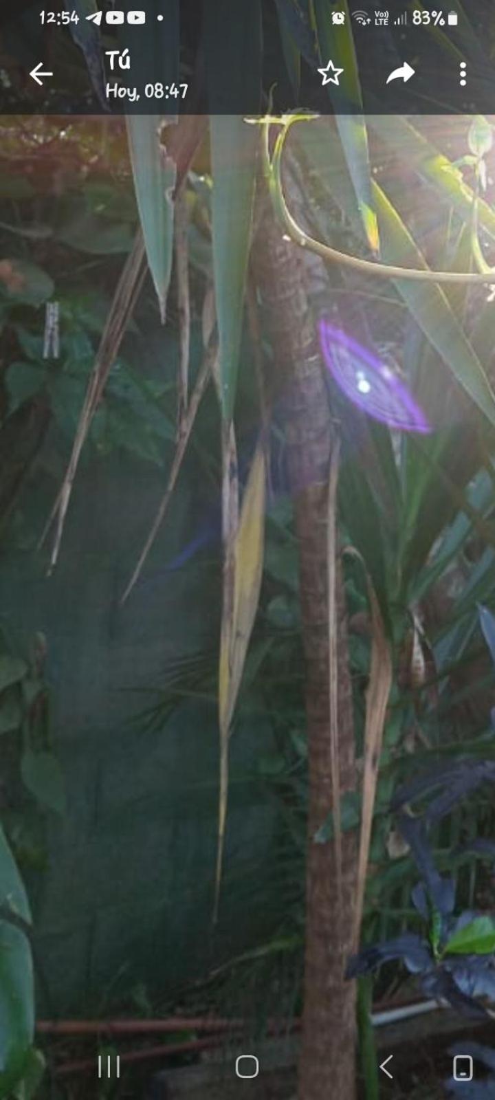 Posada Maria Iguazu Puerto Iguazu Luaran gambar