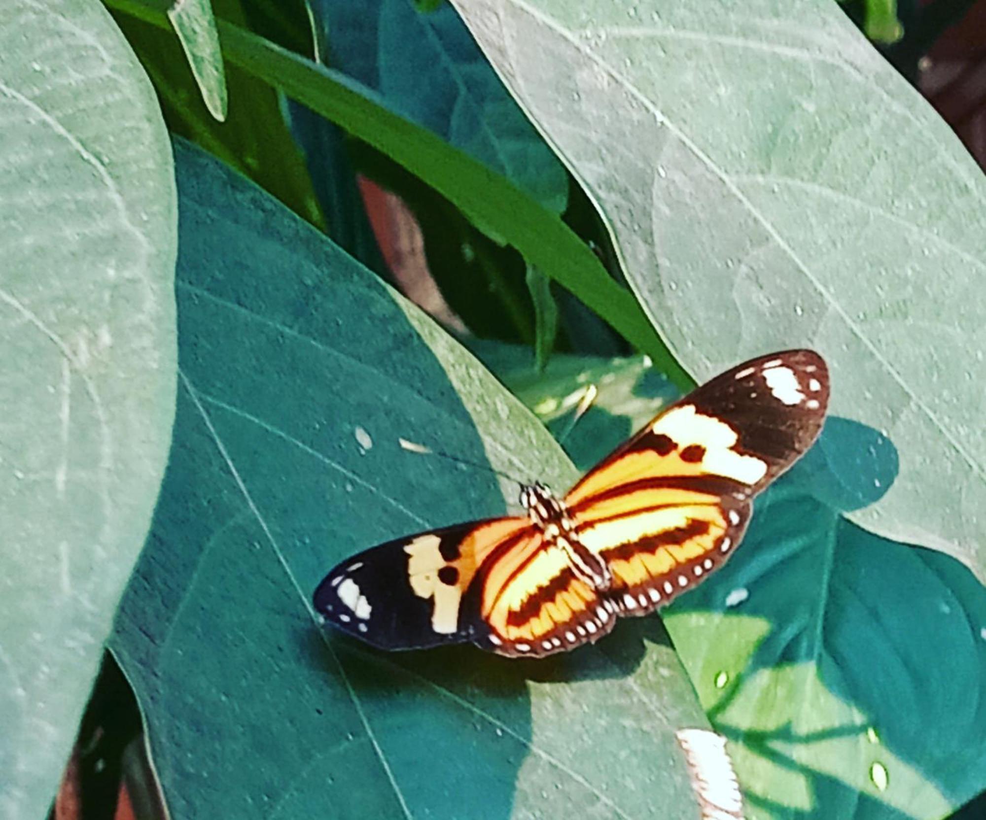 Posada Maria Iguazu Puerto Iguazu Luaran gambar