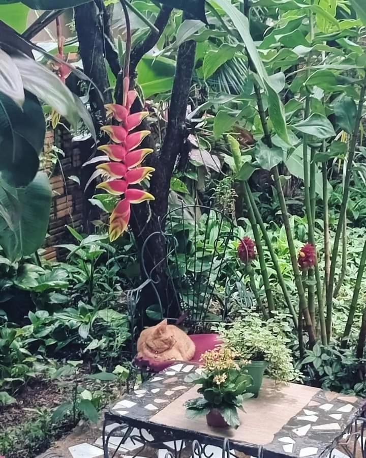 Posada Maria Iguazu Puerto Iguazu Luaran gambar