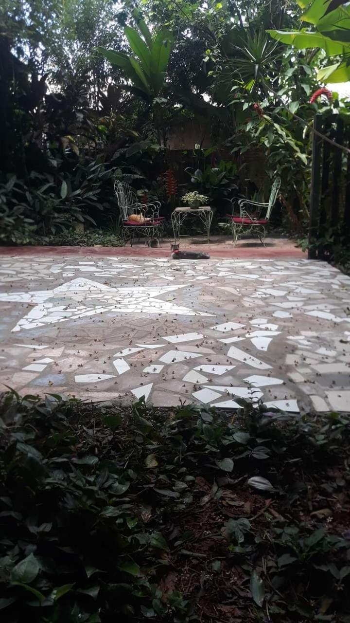 Posada Maria Iguazu Puerto Iguazu Luaran gambar