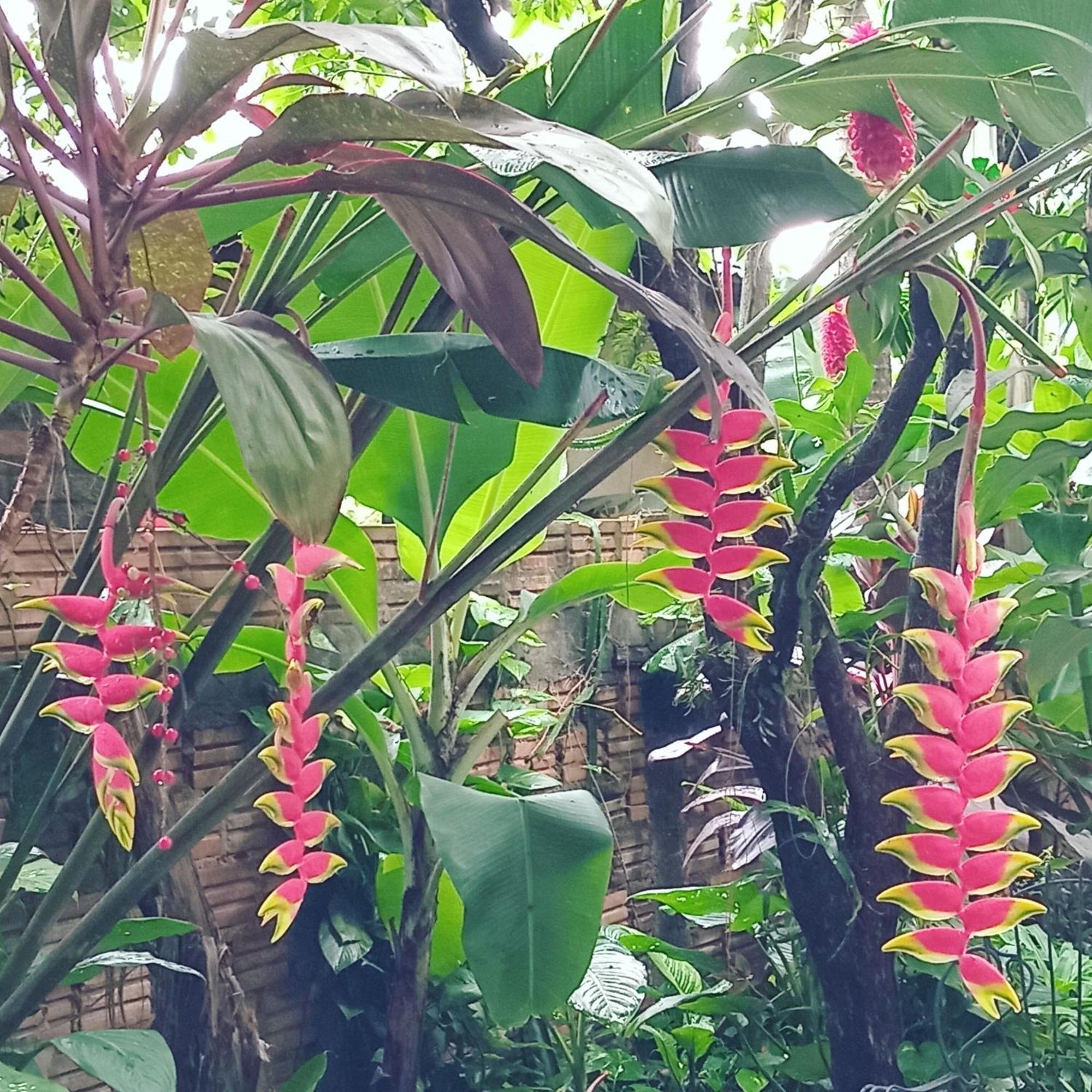 Posada Maria Iguazu Puerto Iguazu Luaran gambar